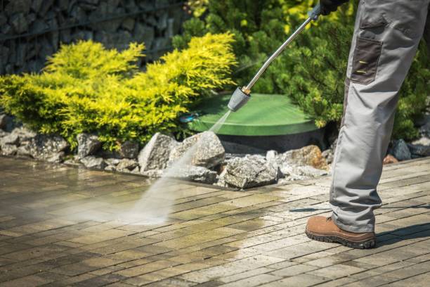 Best Roof Washing  in Chrisman, IL